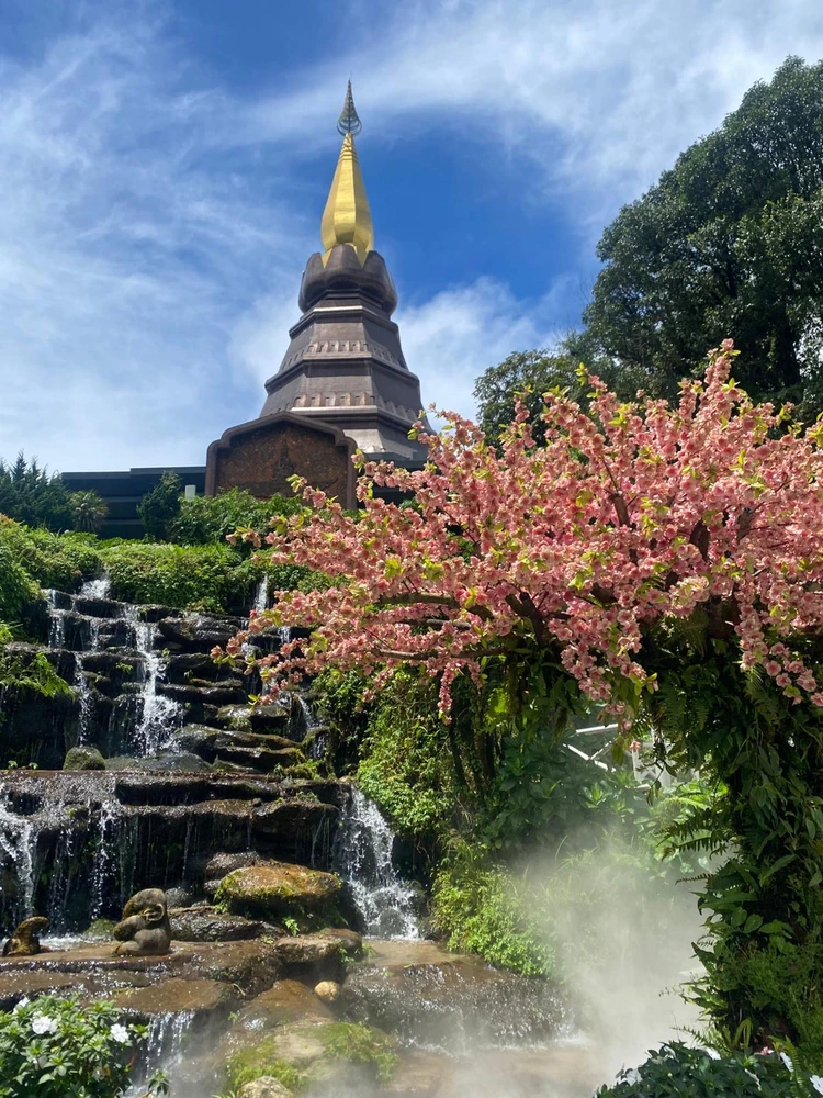 Immagine caricata da Daniele