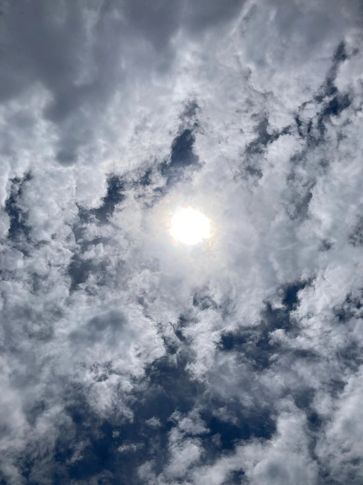 GIF uploaded by Adam