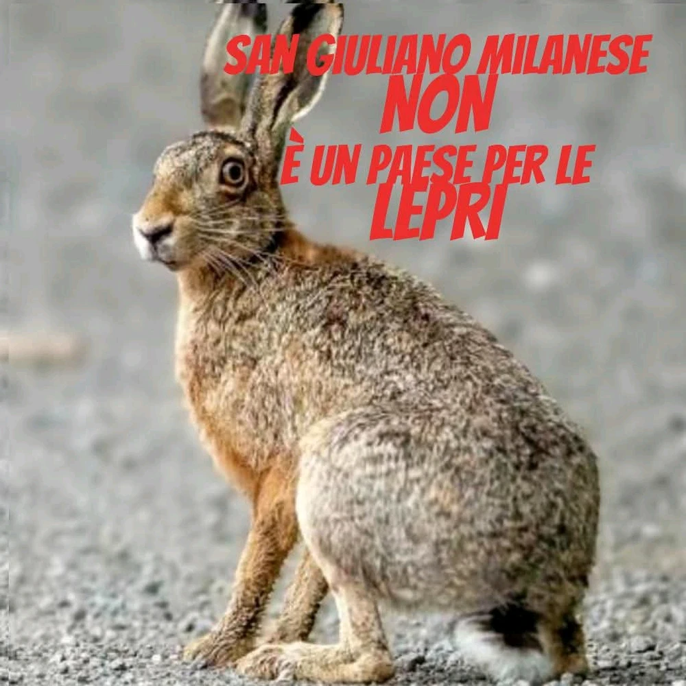 GIF caricata da Luigi