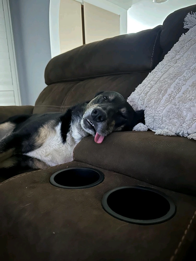 GIF uploaded by Hulla