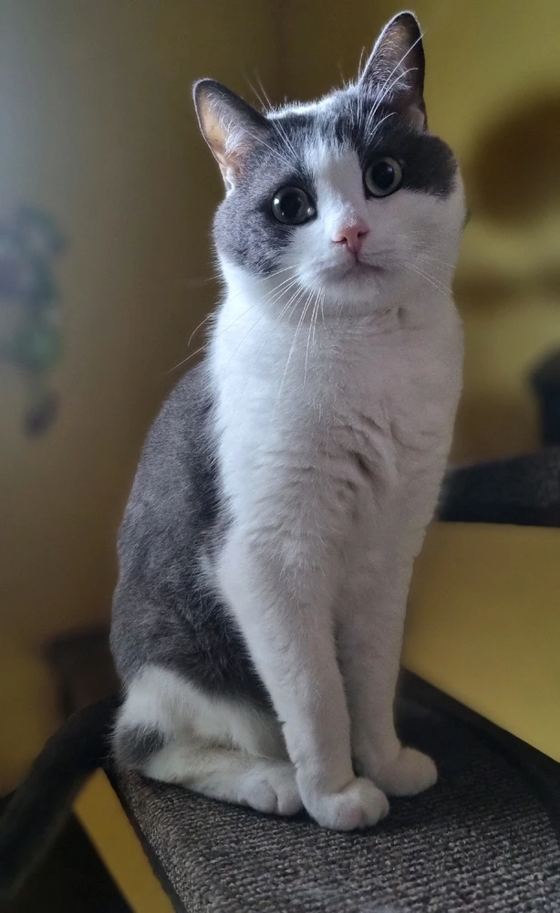 GIF hochgeladen von Rainer