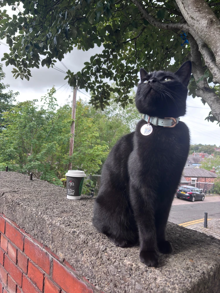 Image uploaded by Mălina