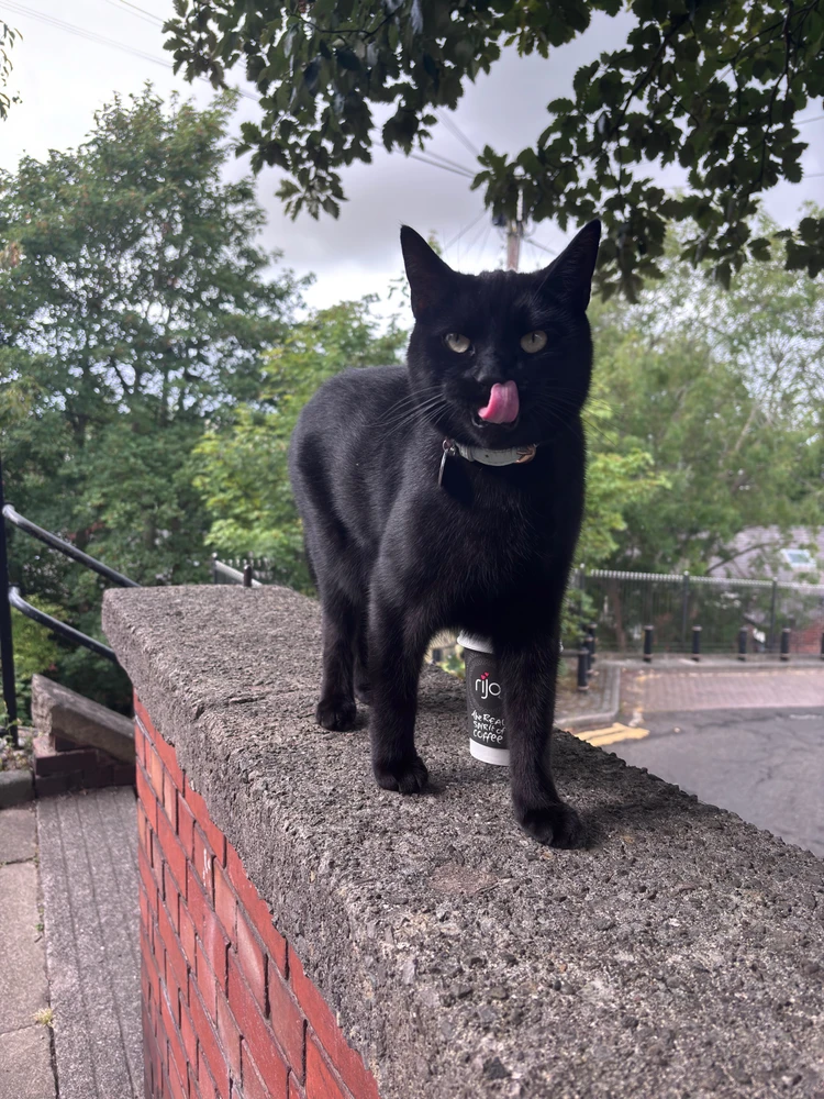 Image uploaded by Mălina