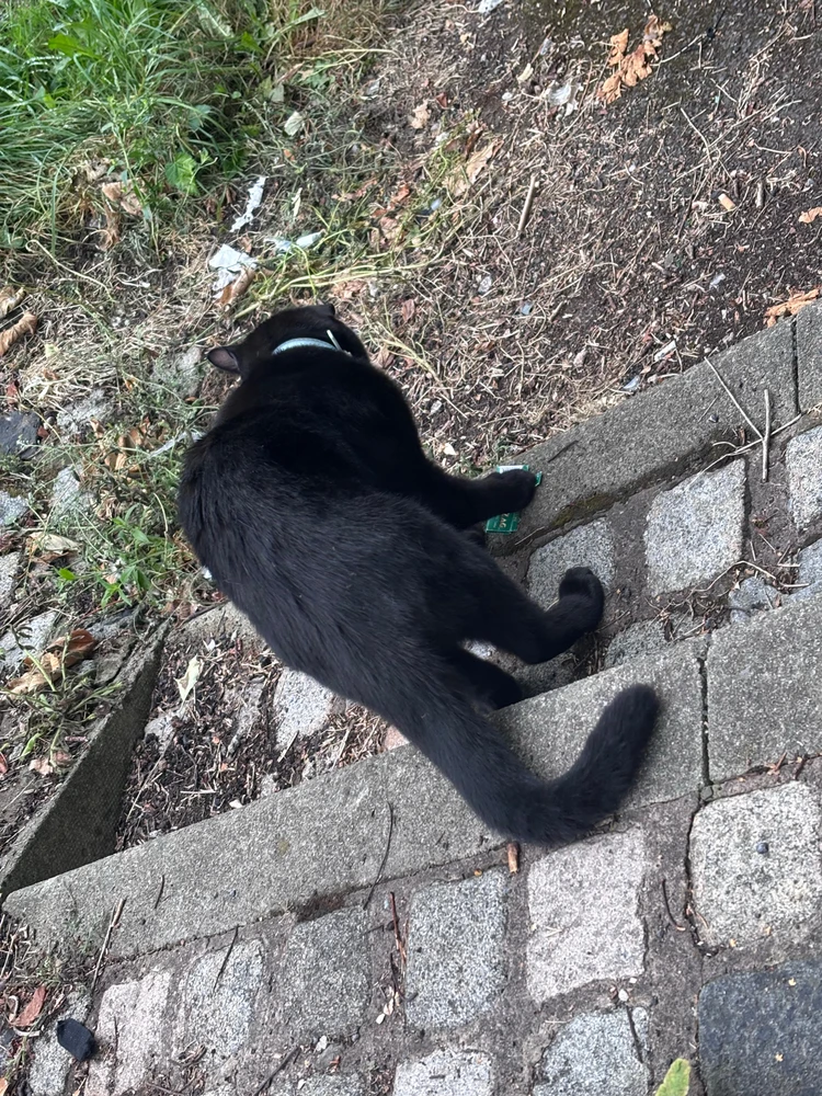 Image uploaded by Mălina