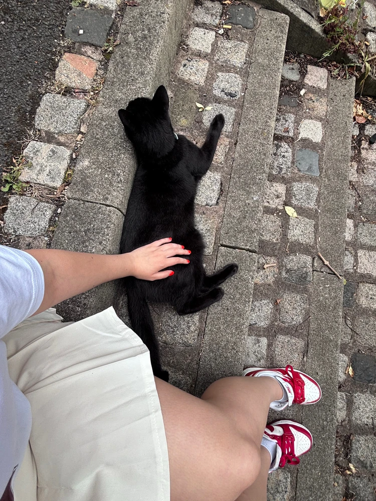 Image uploaded by Mălina