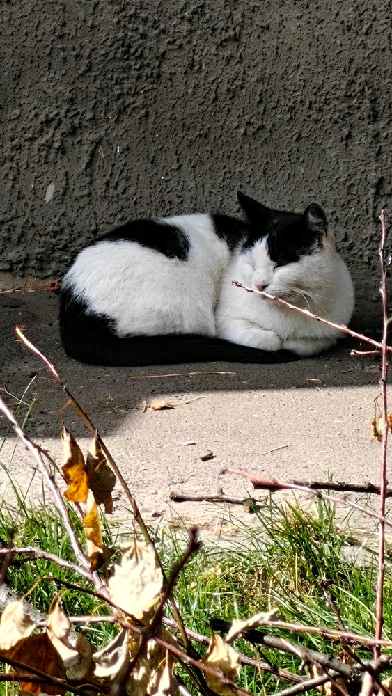 Зображення завантажив Віталій