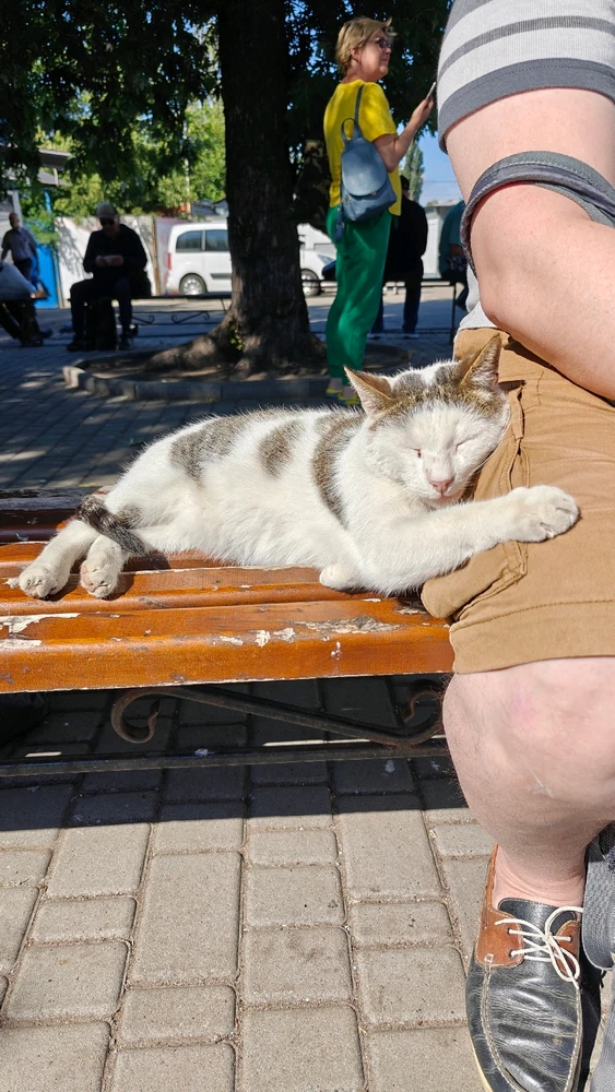 Зображення завантажив Віталій
