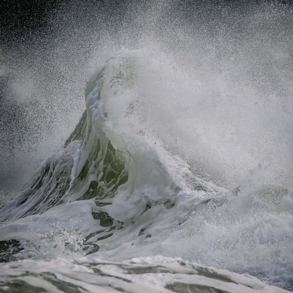 Image ajoutée par Stef