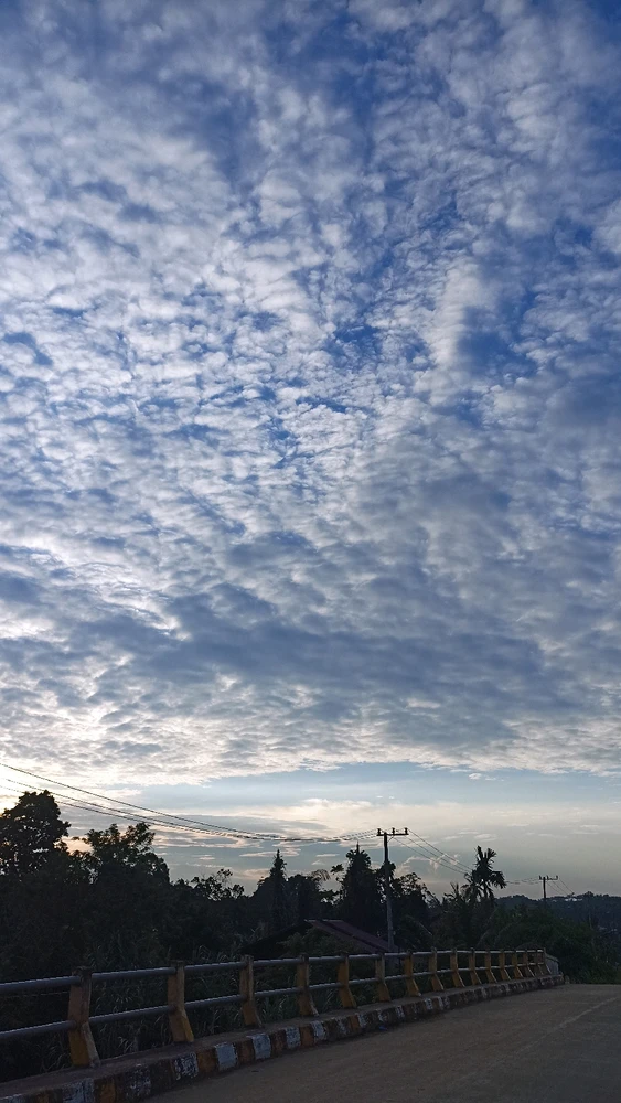 Gambar diunggah oleh Rosse