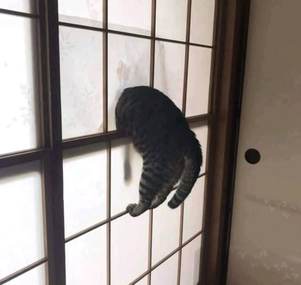 Obrázek nahrál Martin