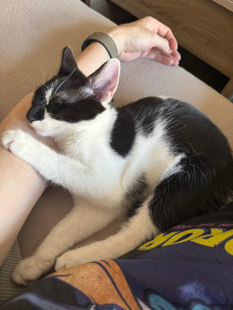 Bild hochgeladen von Markus