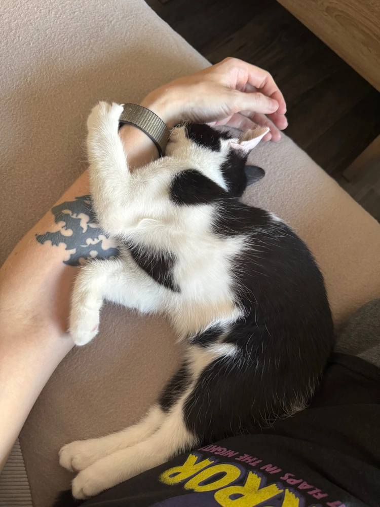 Bild hochgeladen von Markus