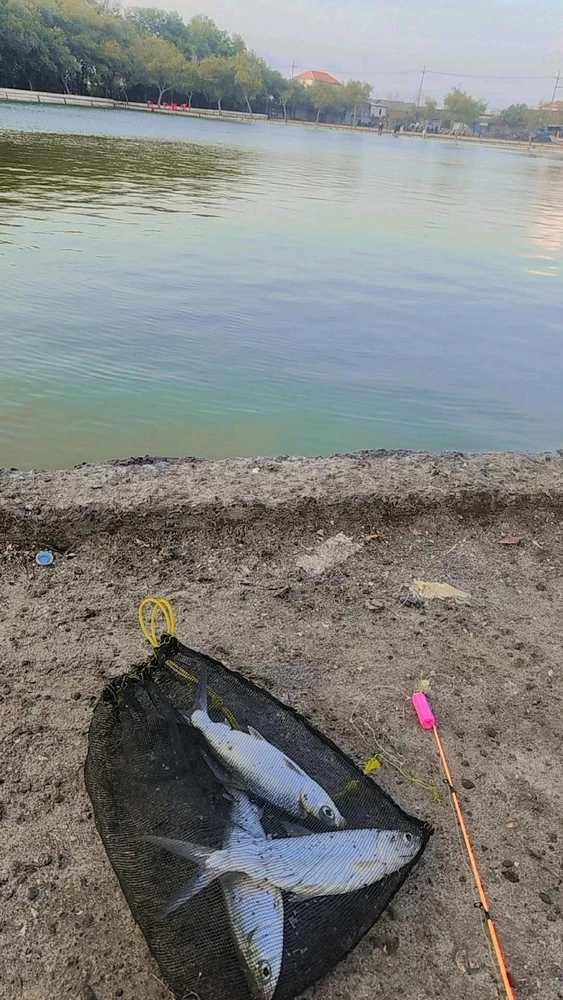 GIF diunggah oleh Pure