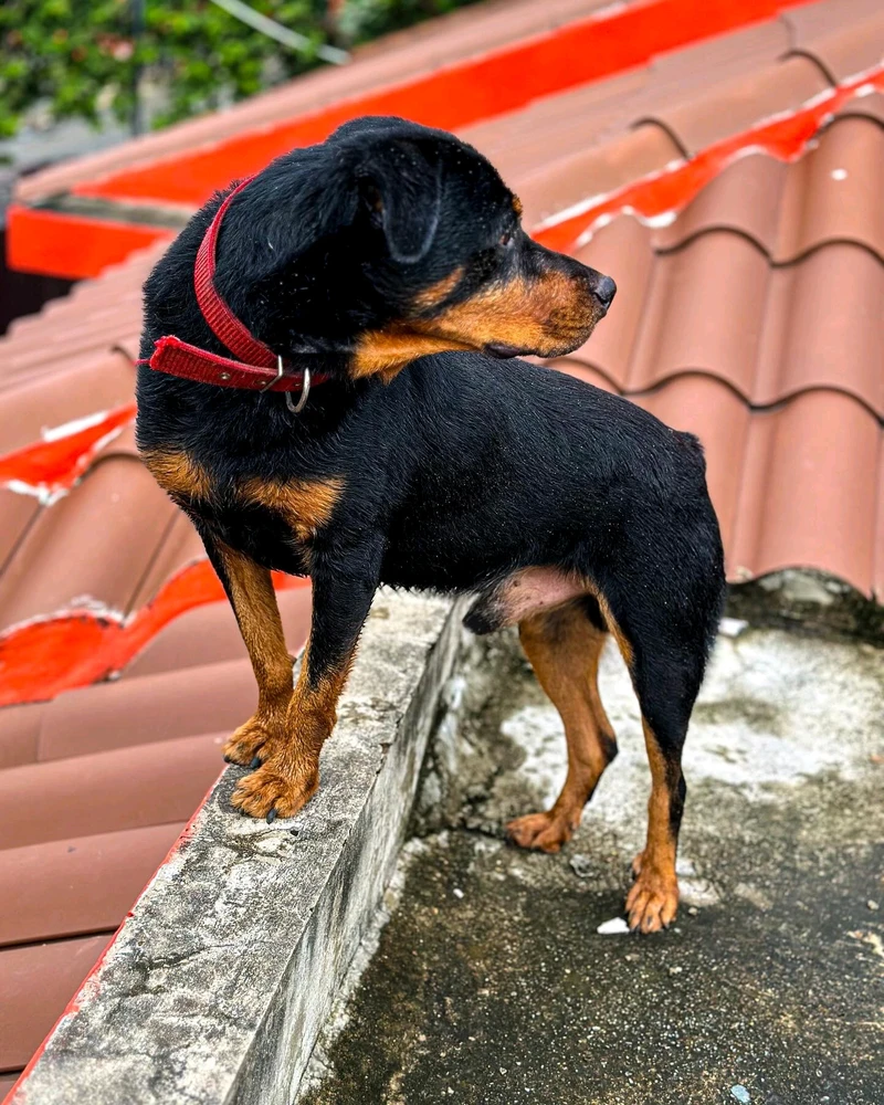 GIF subido por CHOKO
