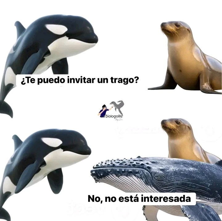 GIF subido por Diógenes