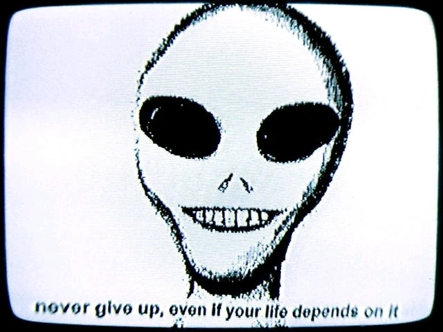 Image uploaded by Eliz