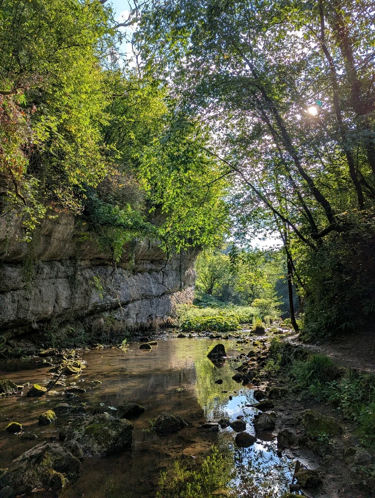 GIF uploaded by Edward