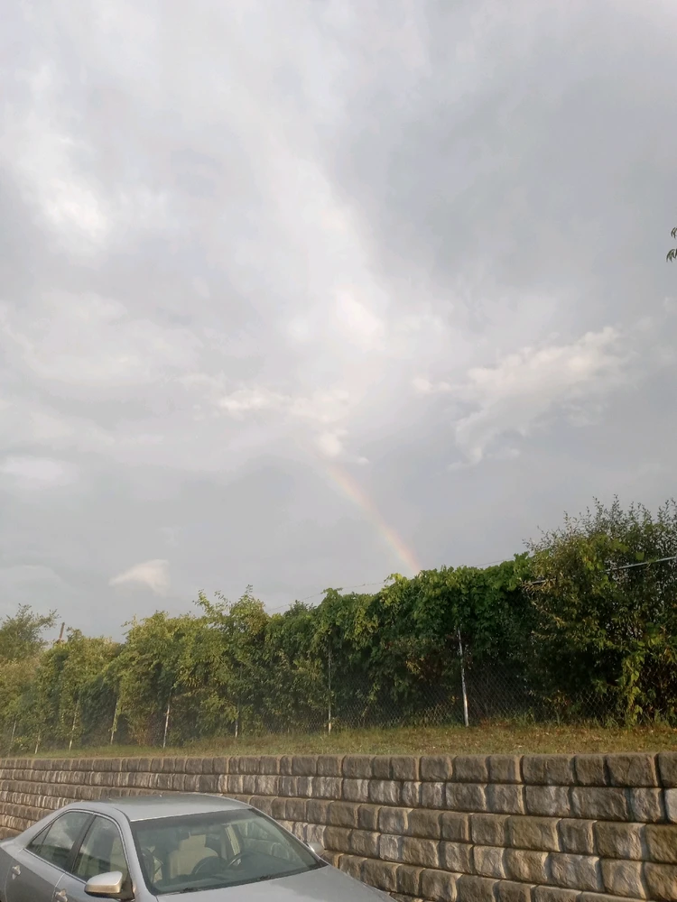 Image uploaded by Link