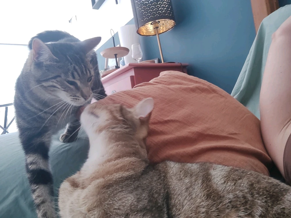 GIF ajouté par Arthur