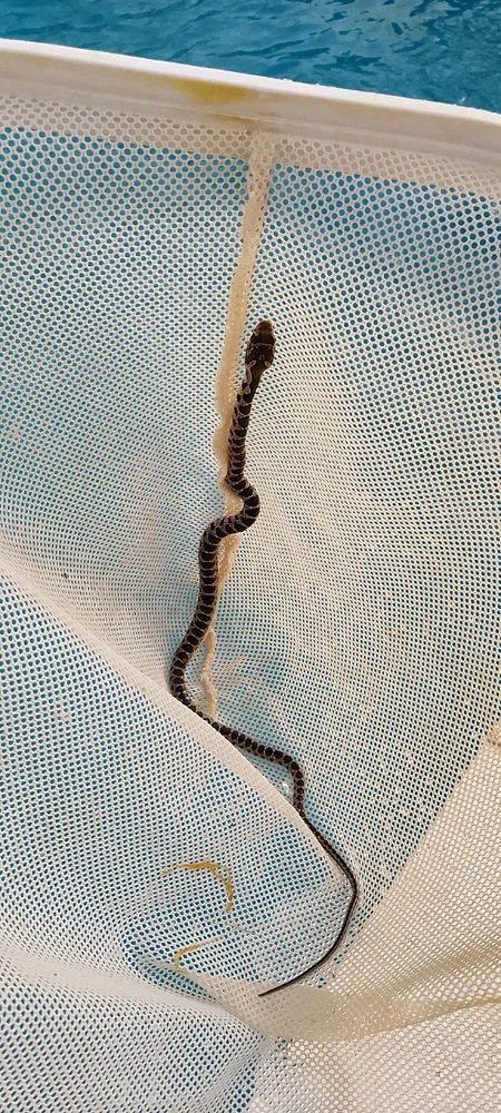 GIF diunggah dening Jake