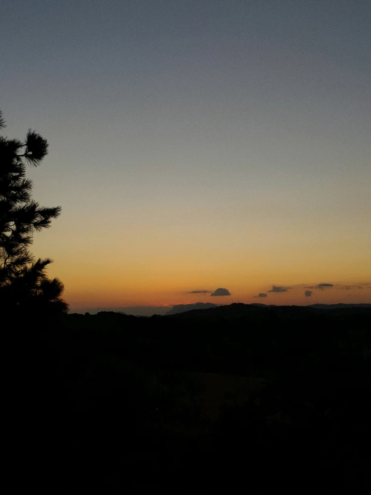 Image uploaded by Nanaki