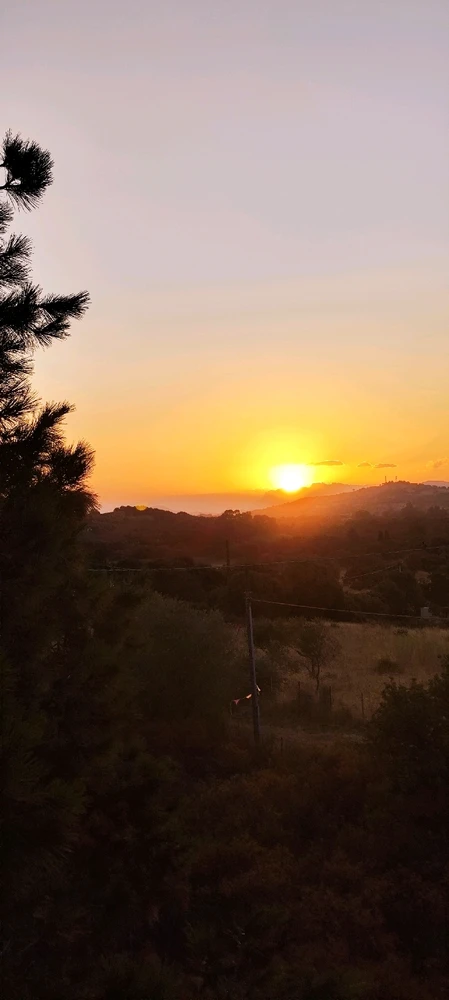 Image uploaded by Nanaki