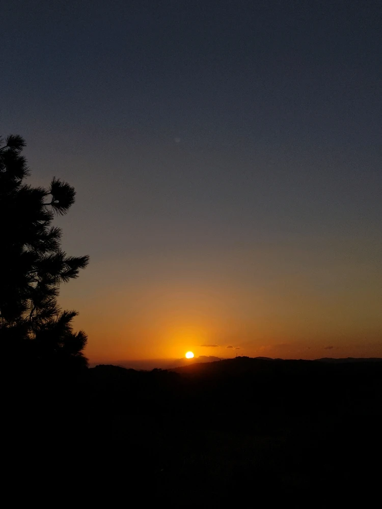 Image uploaded by Nanaki