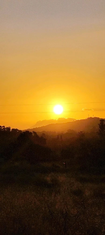 Image uploaded by Nanaki