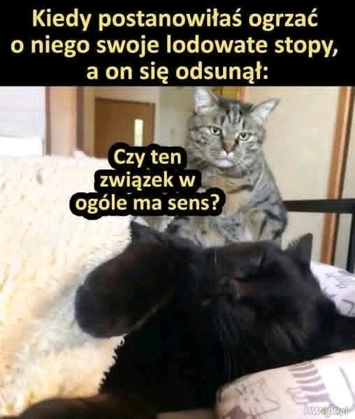 GIF dodany przez Asia