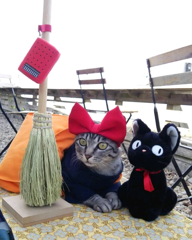 Kikis kleiner Lieferservice Cosplay