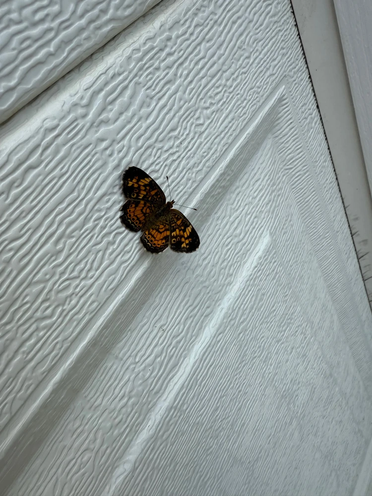 GIF diunggah dening Keith