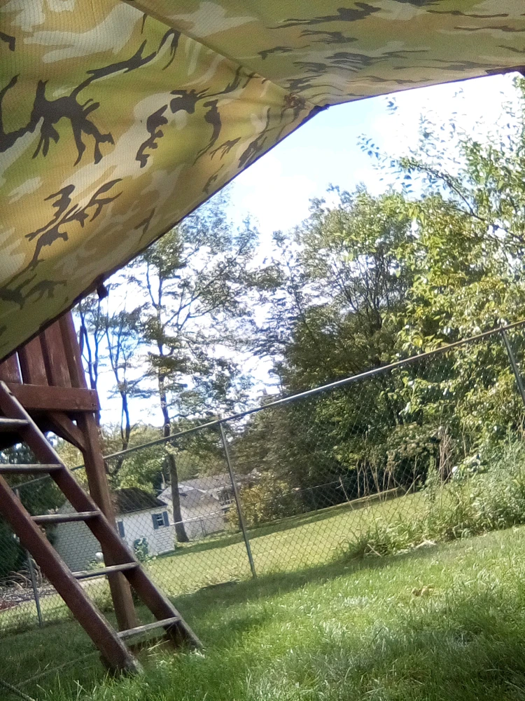 Image uploaded by Ari