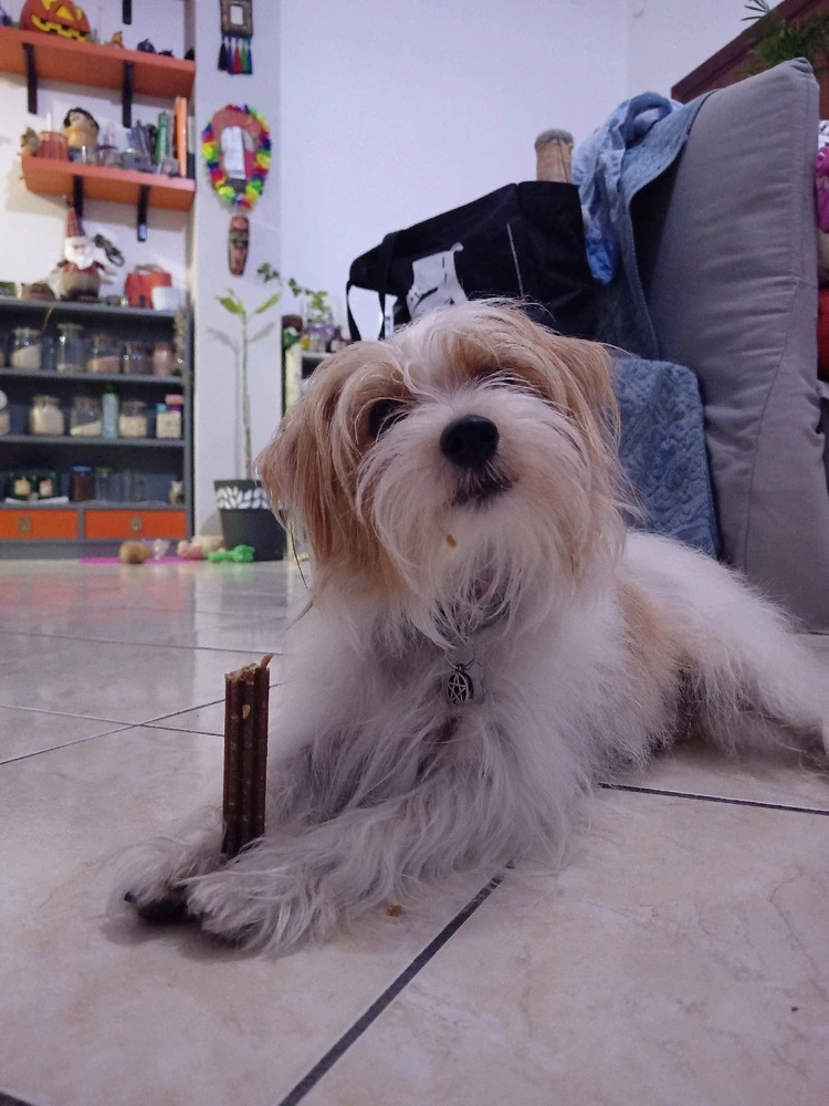 Immagine caricata da Ste