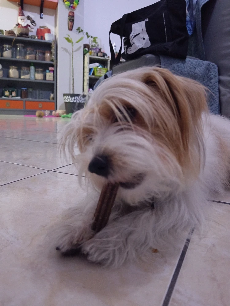 Immagine caricata da Ste