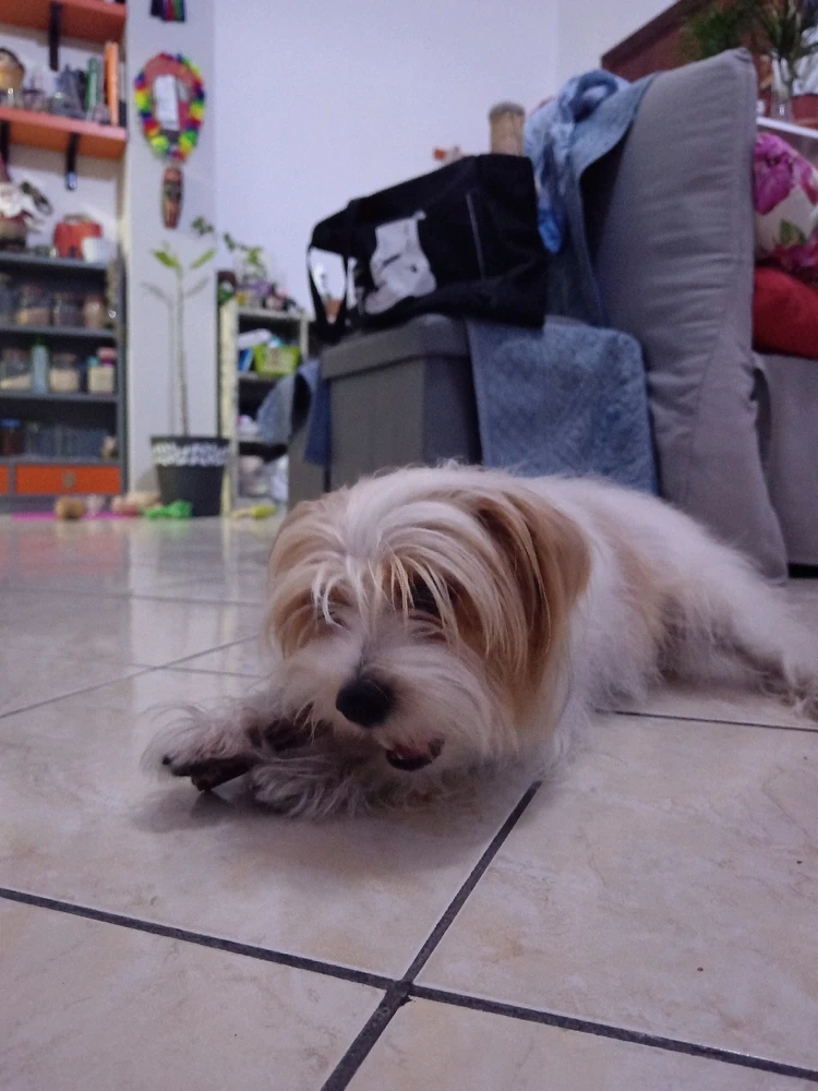 Immagine caricata da Ste