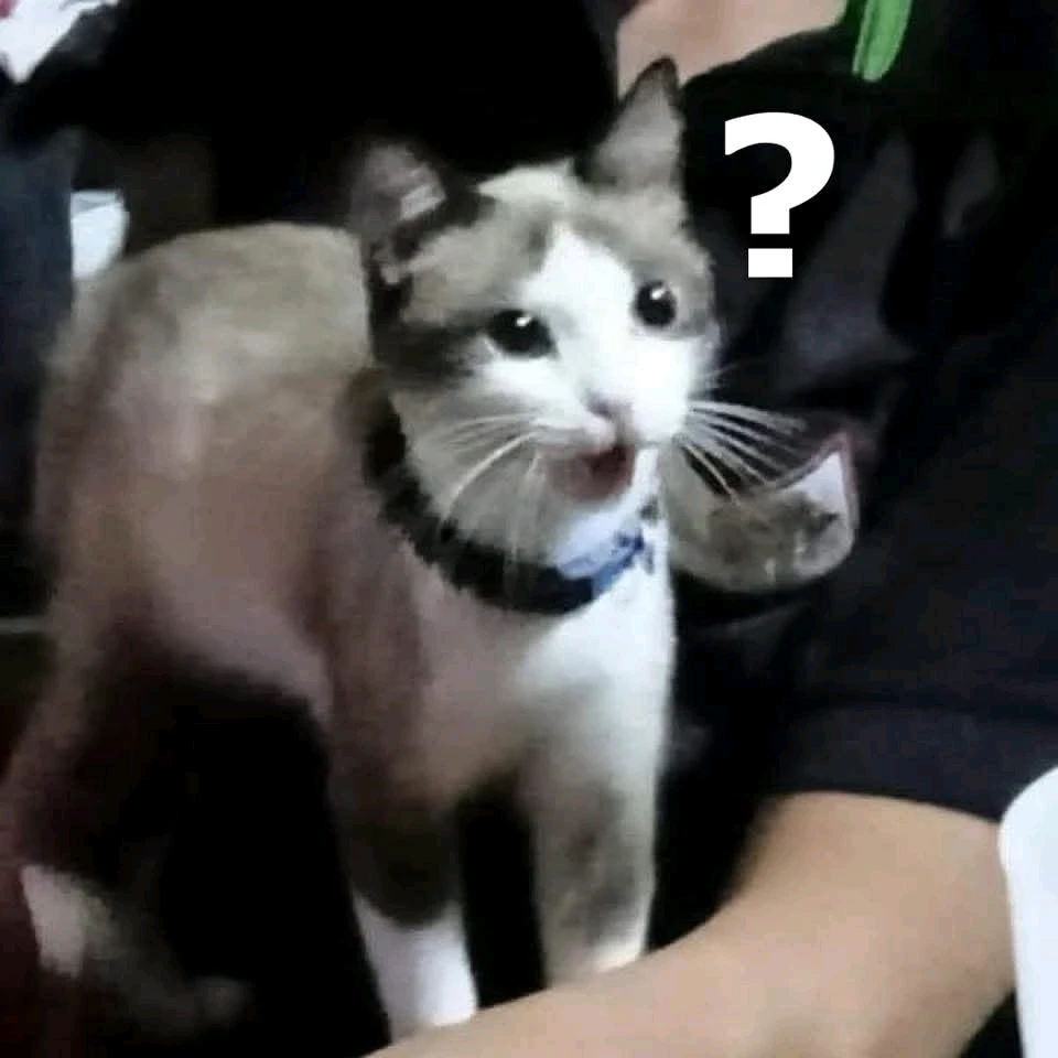 GIF subido por Adolfo