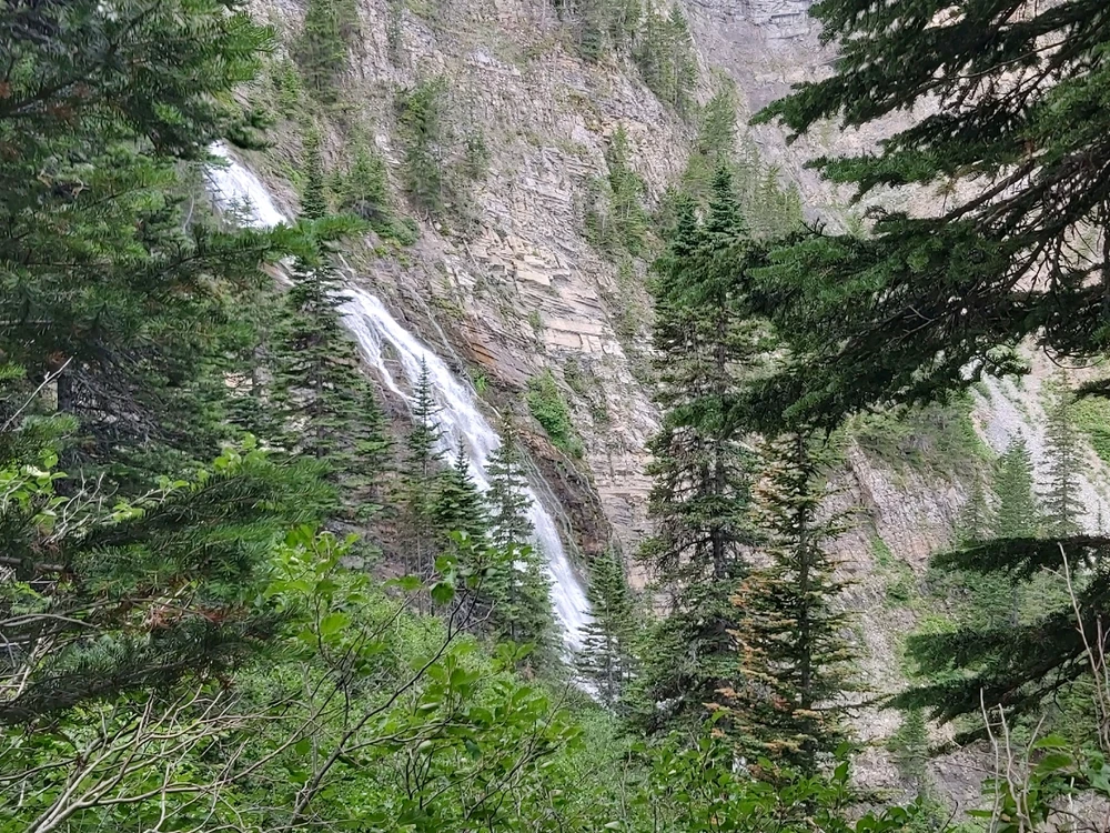 Image uploaded by Zachary Trent