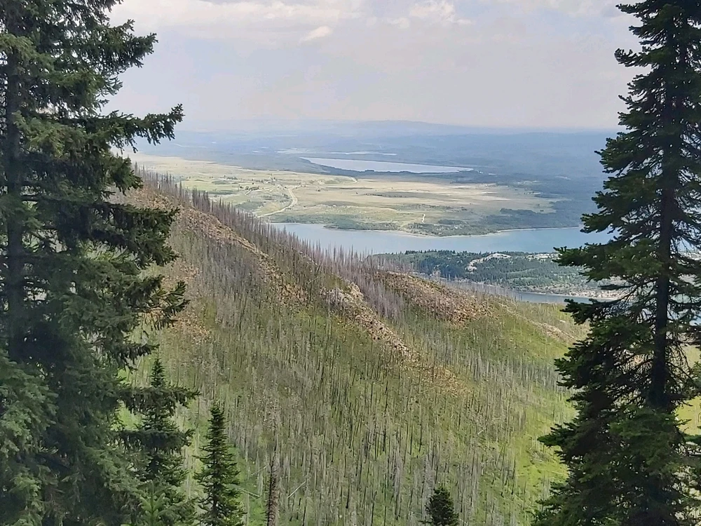 Image uploaded by Zachary Trent