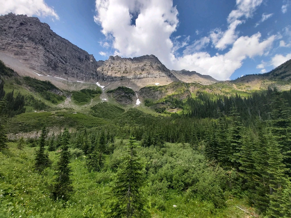 Image uploaded by Zachary Trent