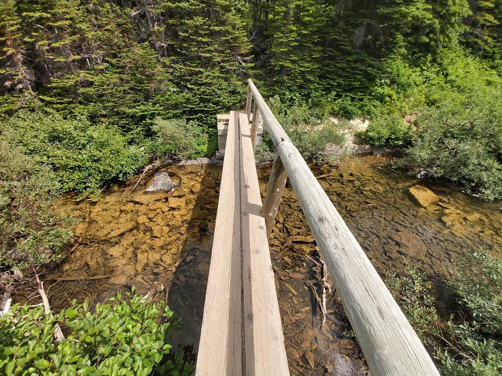 Image uploaded by Zachary Trent