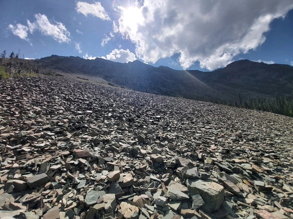 Image uploaded by Zachary Trent