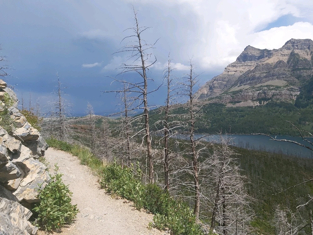 Image uploaded by Zachary Trent