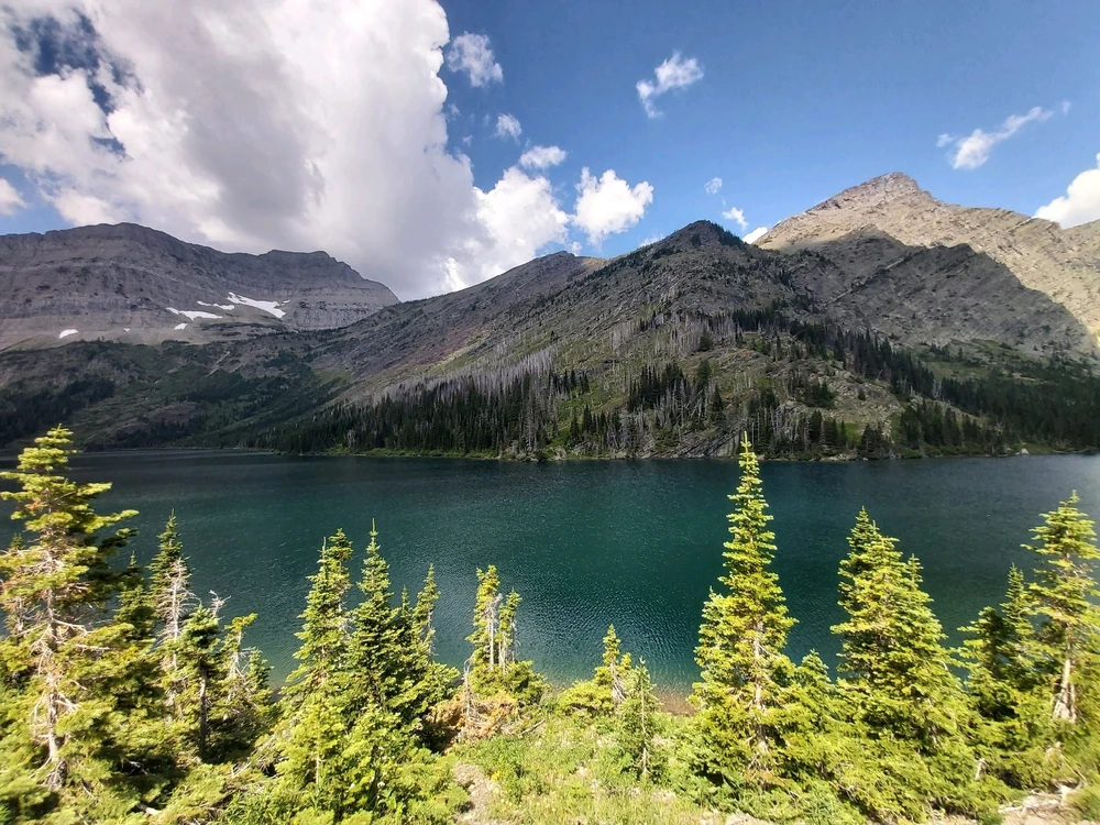 Image uploaded by Zachary Trent