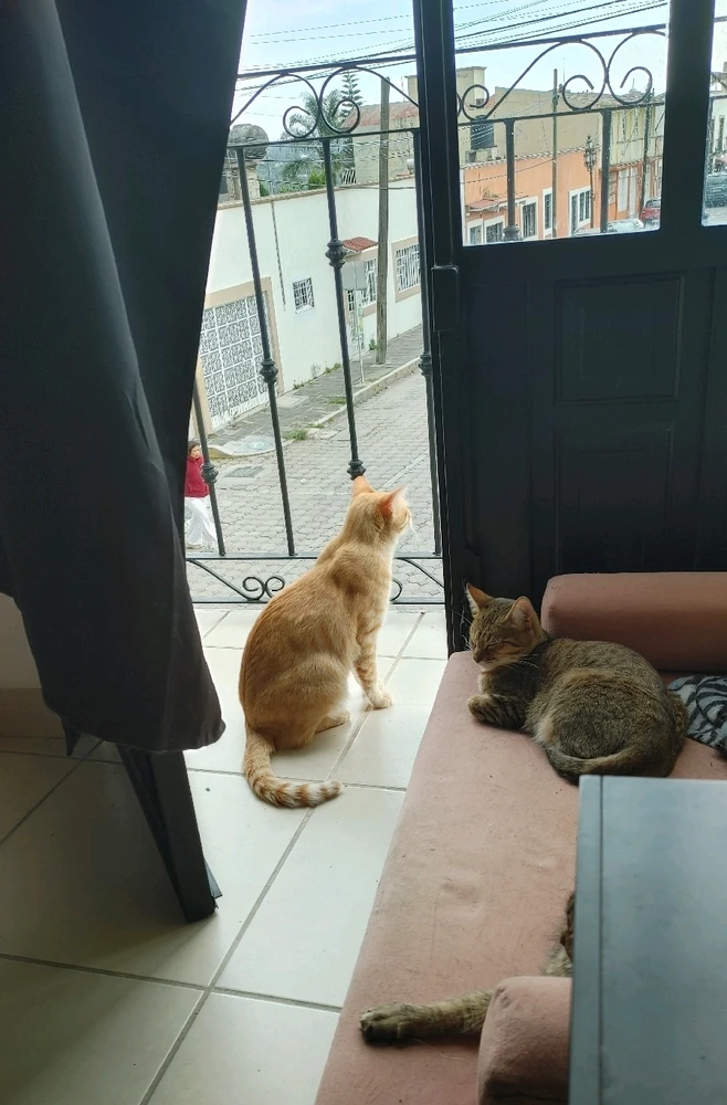 GIF uploaded by ❤ Sophia aka Mango Mami ❤️