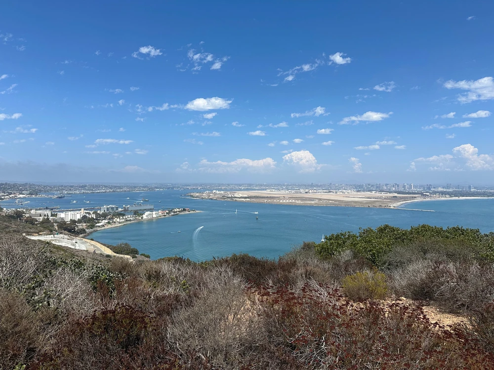 Image uploaded by Edgardo