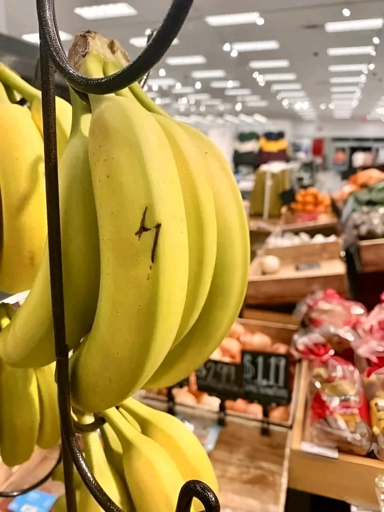 GIF uploaded by Marc