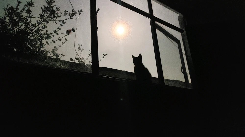 Image uploaded by ❤ Sophia aka Mango Mami ❤️