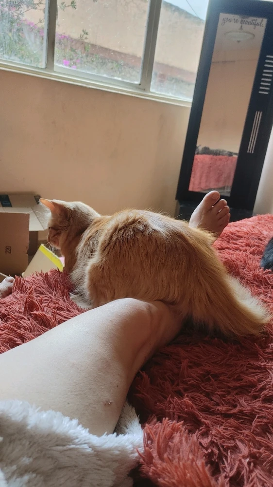 Image uploaded by ❤ Sophia aka Mango Mami ❤️