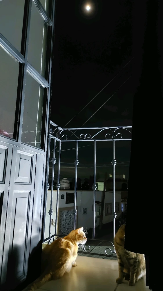 Image uploaded by ❤ Sophia aka Mango Mami ❤️