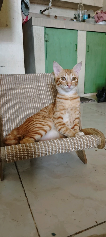 GIF uploaded by Luna